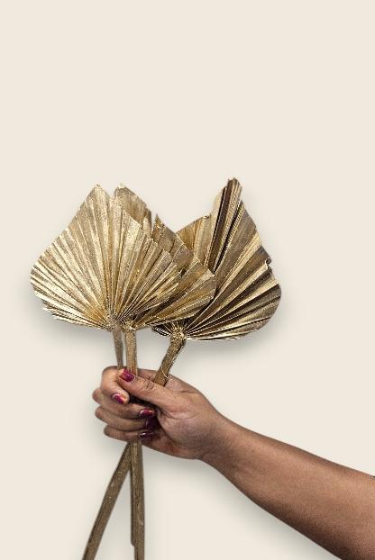Dried Natural Palm Spear(set of 10)
