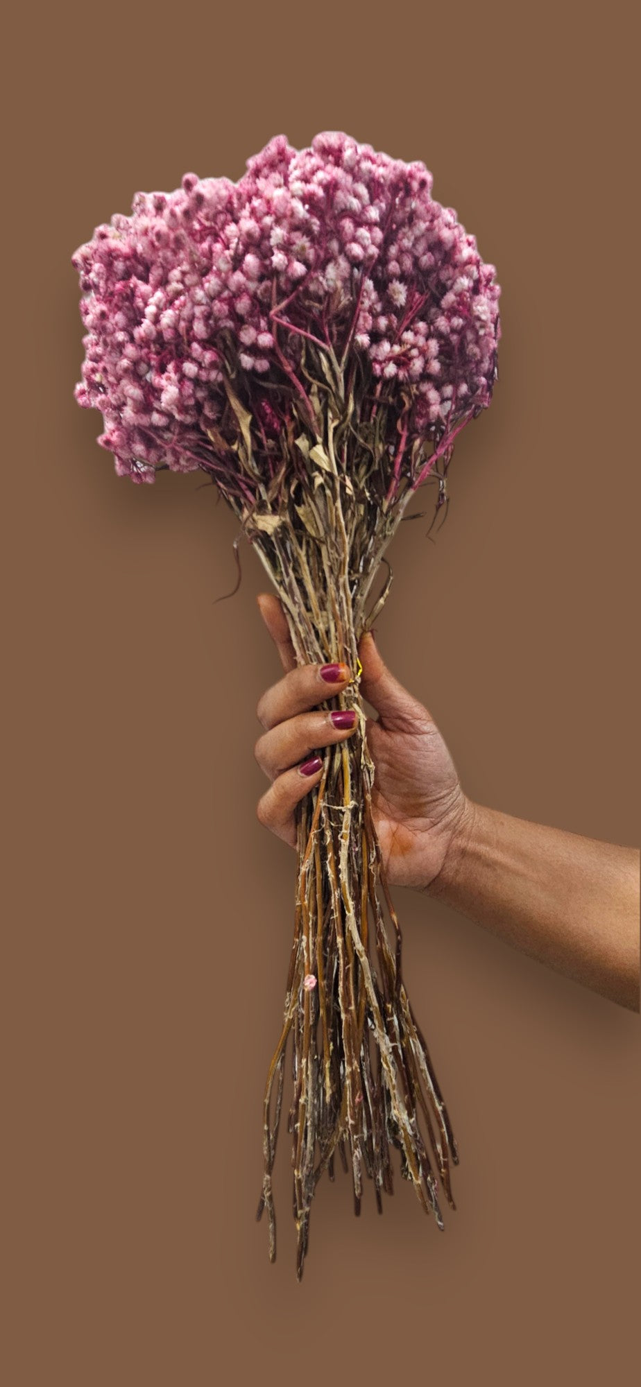 Pink Gypsophila (Baby's Breath)(bunch-10) | Delicate Pink Blooms for a Touch of Elegance