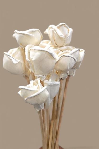 Pure White Sola Flowers(set of 10) | Natural Decorative Floral Accent