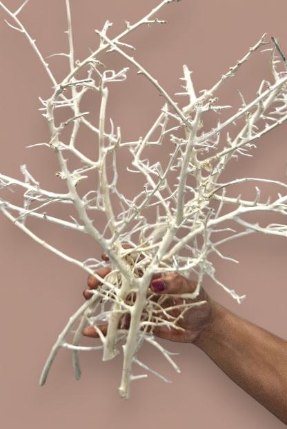 White Willow Branches(set of 10) | Elegant Natural Decor