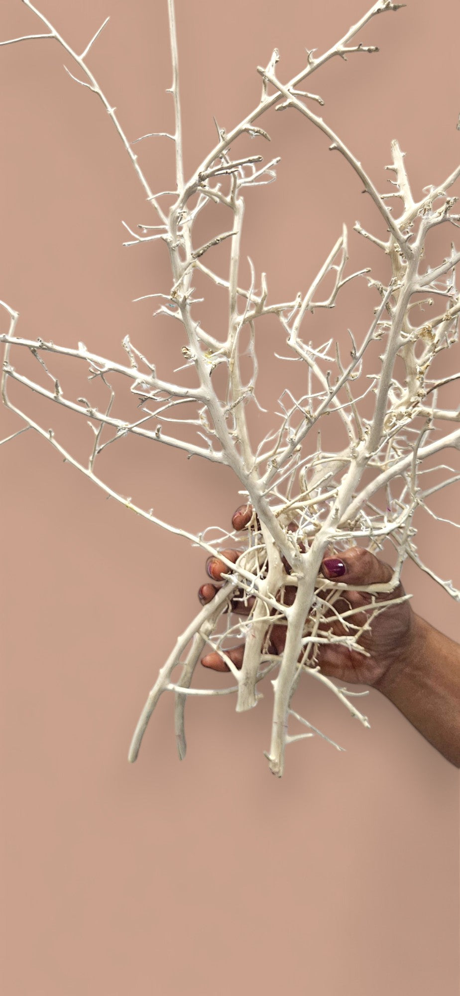 White Willow Branches(set of 10) | Elegant Natural Decor