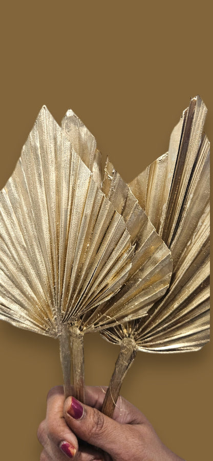 Dried Natural Palm Spear(set of 10)