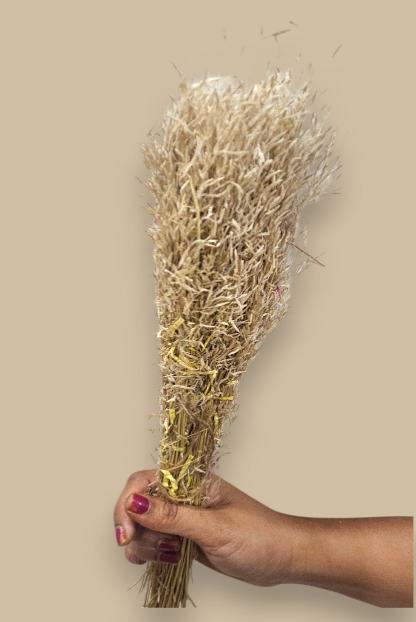 Dried grass(bunch of 10)