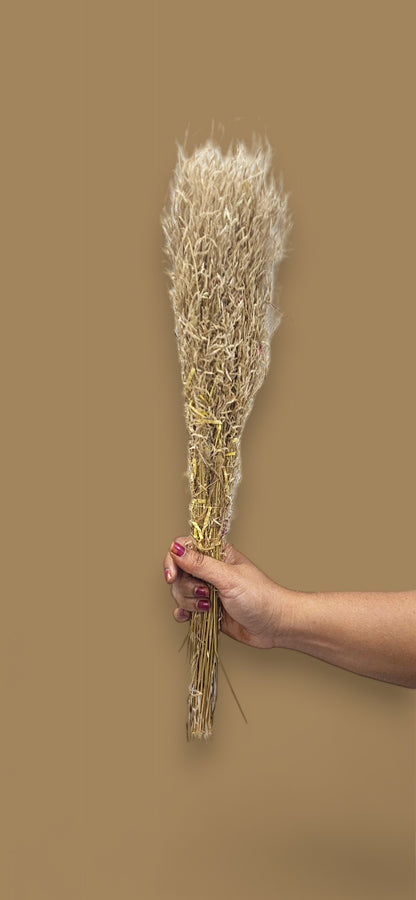 Dried grass(bunch of 10)